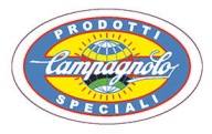 CAMPAGNOLO _ NAKLEJKA _ 5cm