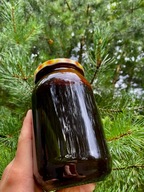 Miód LEŚNY 5kg ZBIÓR 2025r Pasieka U Antosia