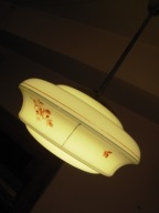 UROCZA SUBTELNA AMPLA