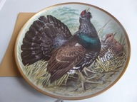 Talerz ptak Głuszec Limoges Haviland autor Basil EDE 23 cm