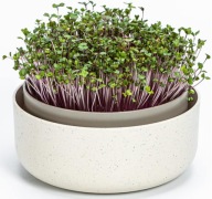 Duża misa na kiełki nasion rzeżuchy Pojemnik na Kiełki