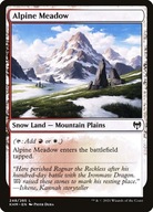 Karta Magic: The Gathering Alpine Meadow KHM