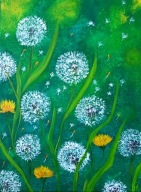 Obraz akrylowy dmuchawce 40x 30 / Patryk Mit 75