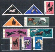 1299-1308**KONIE POLSKIE,CZYSTE,BEZ PODLEPKI
