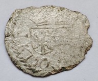 Zygmunt III Waza szeląg tarcz dwupolowa śr. 16 mm