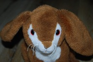 pluszak maskotka fajny zając zajączek królik WWF