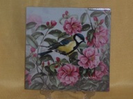 Bradex Kolekcjonerski talerz ozdony płytka Davenport Anglia Ptaki Kwiaty