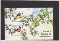 Ptaki, Jersey, blok czysty