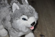 pluszak maskotka piesek szczeniak husky Haski Uni Toys