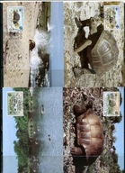 A51567)WWF-Maximum Karty Gady i Plazy: Aeus. Seychellen 104 - 107