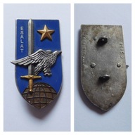 ODZNAKA WOJSKOWA - FRANCJA