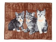 Koc Elway akryl160x210 cm 560g/m2 KOTY BRĄZ