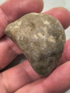 Skamieliny minerały koralowce