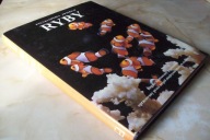 ENCYKLOPEDIA ZWIERZĄT RYBY