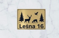Tabliczka Grawerowana numer domu, ulica, obiekt monitorowany 2w1 uwaga pies
