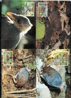 A51594)WWF-Maximum Karty Ptaki: Niuafou ` Ou 233 - 236