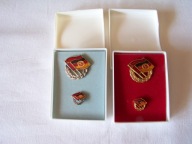 Odznaki Gesellschaft für Deutsch-Sowjetische Freundschaft.