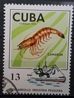 Ryby (kas) - luzak - do uzupełnień 13/5