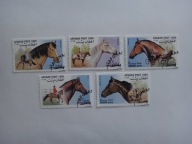 Afganistan 1999, Konie, zwierzęta, fauna