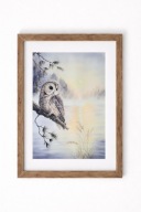 Akwarela "Sowa o poranku” –obraz z autorskiej serii ptaków 23x31 oryginał