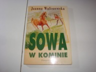 Sowa w kominie Waliszewska
