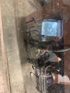 SZYBA DRZWI LEWY TYŁ 2017R HB HATCHBACK FIAT TIPO II 16-23R