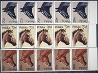 Konie F. 3042-3047 paski po 5 szt. z marginesem **