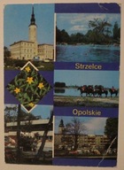 STRZELCE OPOLSKIE. Ratusz. Basen pływacki. Stadnina Koni