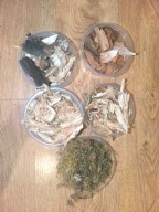 Zestaw próchna 4×250 ml + mech 250 ml dla isopodów, wijów, chrząszczy