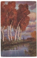 Rzeka Brzozy Jesienią 1916r. FELDPOST 829k