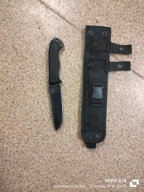 Ontario ranger tfi