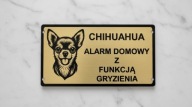 Tabliczka informacyjna uwaga zły pies Chihuahua złota
