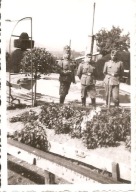WEHRMACHT -TRZECIA RZESZA -ŻOŁNIERZE -zdjęcie -mały format