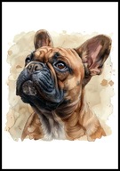 A2 OBRAZ PLAKAT PIES PLAKAT BULDOG FRANCUSKI