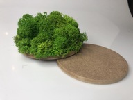 Zestaw z chrobotkiem 10cm DIY