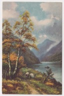 Owce droga Górskie Jezioro brzozy ok.1930r. 182m