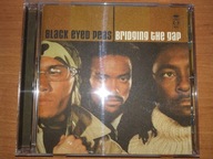 Black Eyed Peas - Bridging The Gap FOLIA!!!