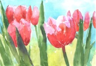 =KWIACIARNIA= Obraz =martwa natura=KWIATY=akwarela=