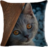 Ozdobna poszewka, jasiek na poduszki - Kot - 45 x 45 cm produkt unisex