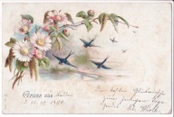 Litografia pozdrowienia z Wrocławia? kwiaty jaskółki 1900 r.