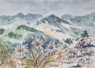 Akwarela Obraz Pejzaż Kwiaty w górach