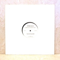 Terra W.A.N. – Nightmare Of A Broken Heart