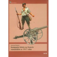 Kampania letnia na froncie rumuńskim w 1917 roku ; jak nowa