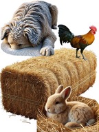 Słoma 7kg w kostkach XXL – pachnące legowisko dla psów, gryzoni i kur