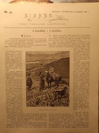 1904 Wilno Katedra 3 numery