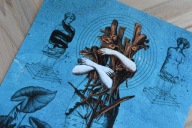 plakat kolaż KAJA RENKAS x Fundacja KOT