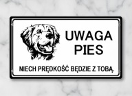 Grawerowana złota tabliczka uwaga pies golden retriever