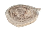 Plaster drewna orzech 30x35x5cm suchy piękne kręgi równy ozdobny ładny