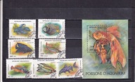 Fauna . 1994 . Madagaskar . Kasow