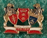 ODZNAKA TRÓJMIASTO POLSKA - GDAŃSK - GDYNIA - SOPOT - HERB HERALDYKA